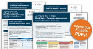 Interactive PDF pages